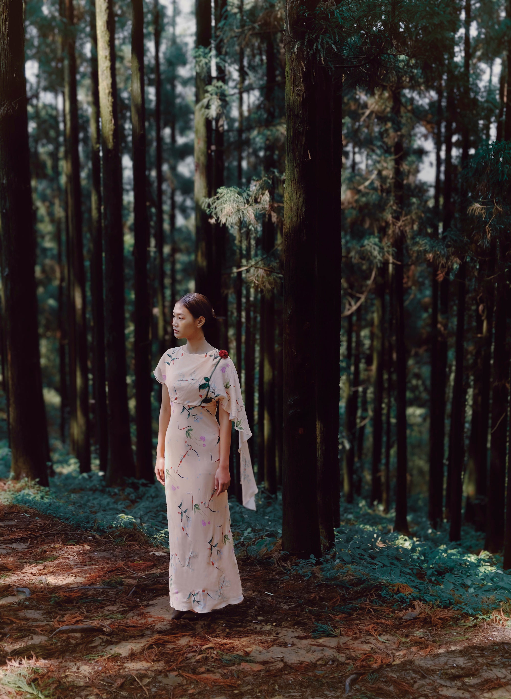 Grace Shawl dress